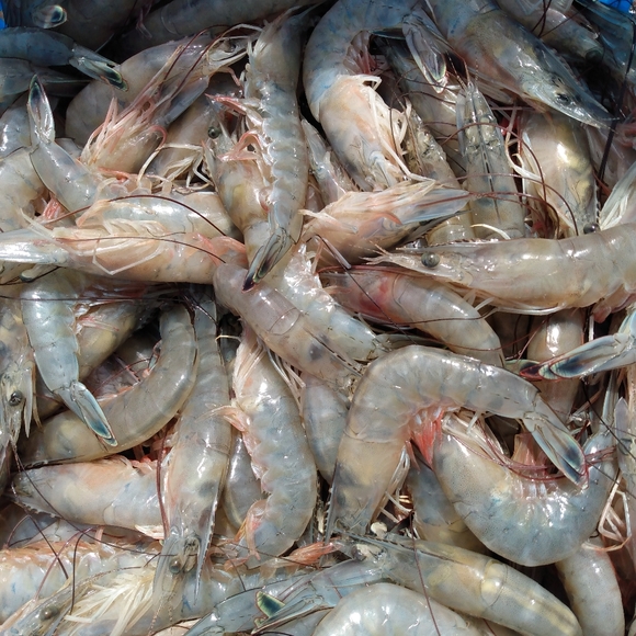 my heart - Picture 5 of 6